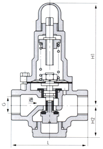 �ߴ�D