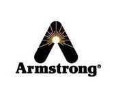 ������ķ˹��Armstrong�y�T